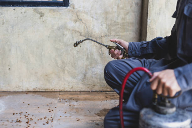 Best Termite Control Services  in Oakfield, WI